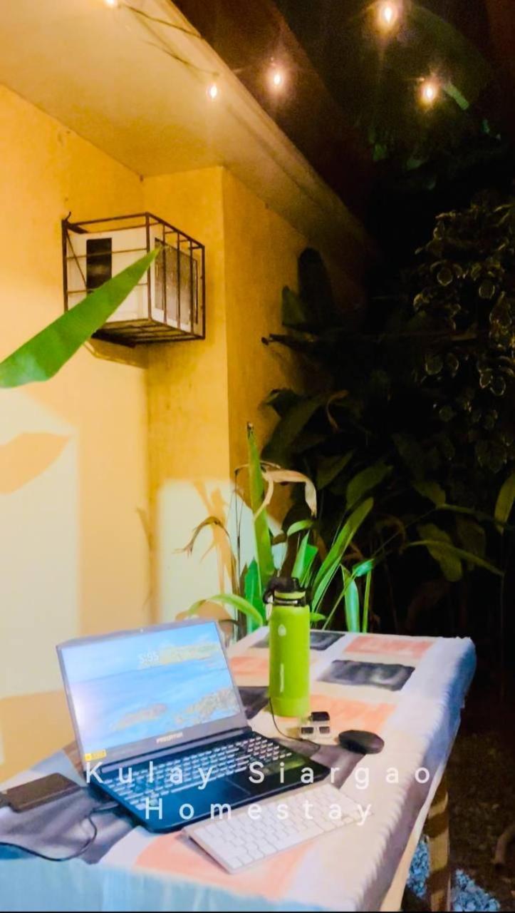 Ameeza Houze Homestay - Siargao General Luna  Dış mekan fotoğraf