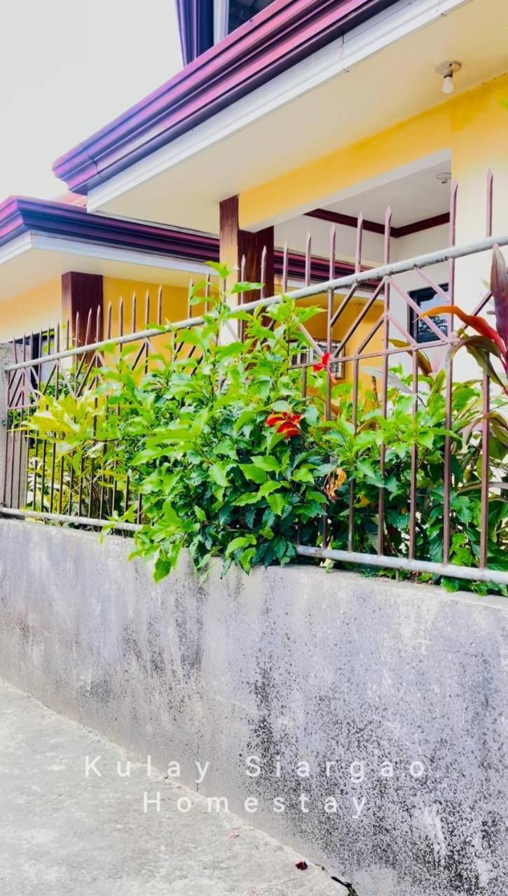 Ameeza Houze Homestay - Siargao General Luna  Dış mekan fotoğraf
